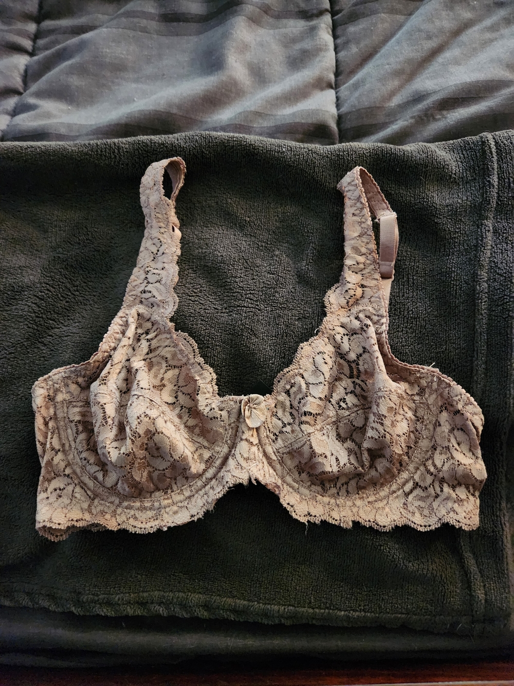 Lace Underwire Bra in Taupe NWOT